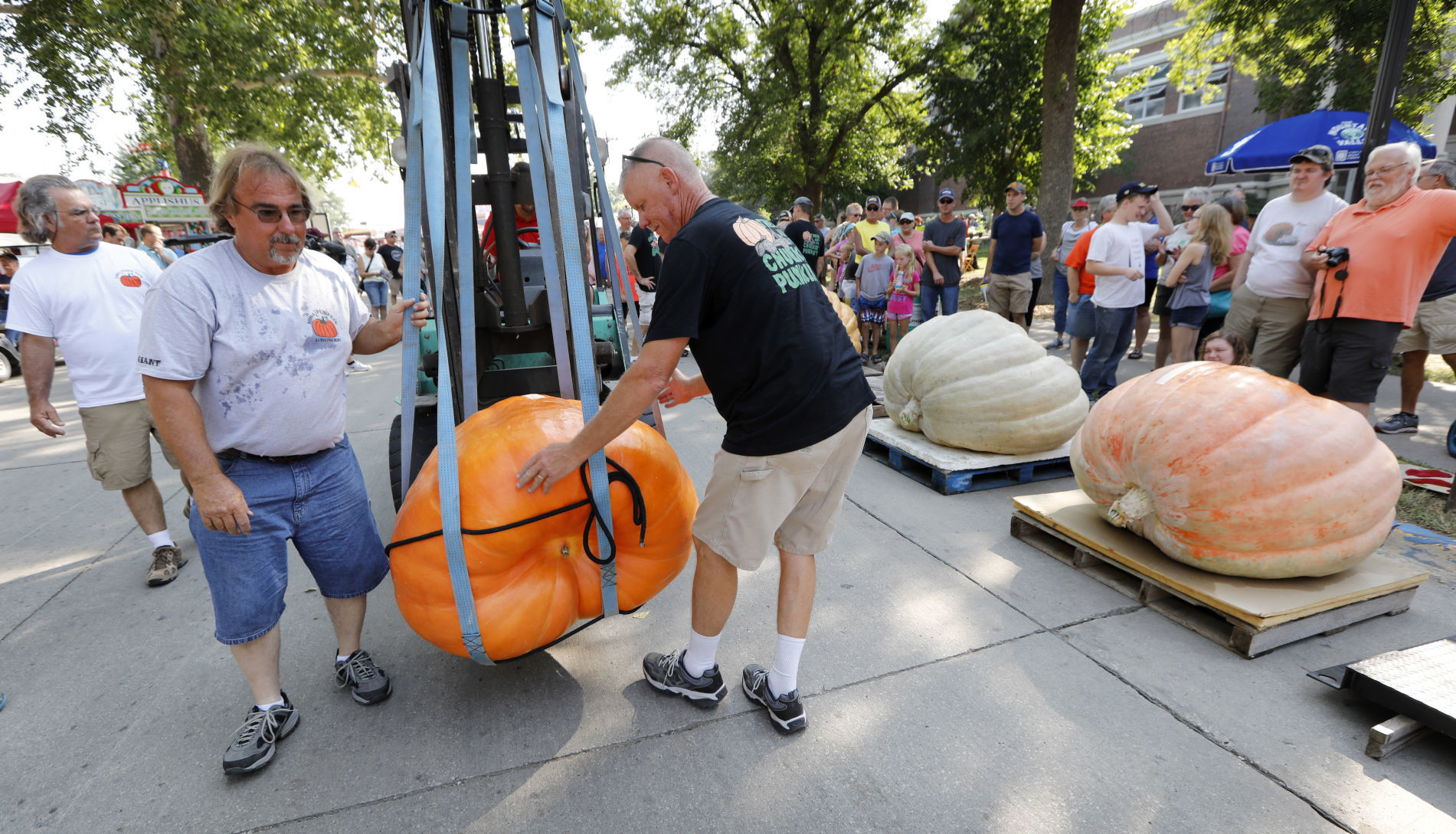 081018AP-Iowa-State-Fair-9